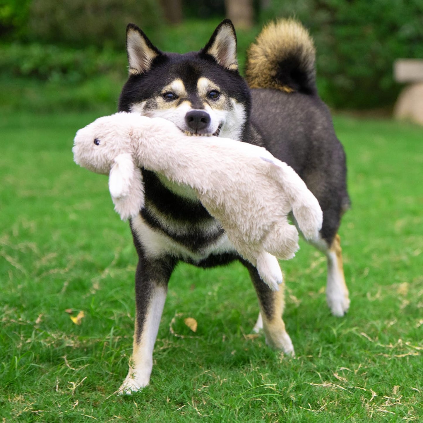 Dog Squeaky Chew Toys Fun Skin,Plush,Log